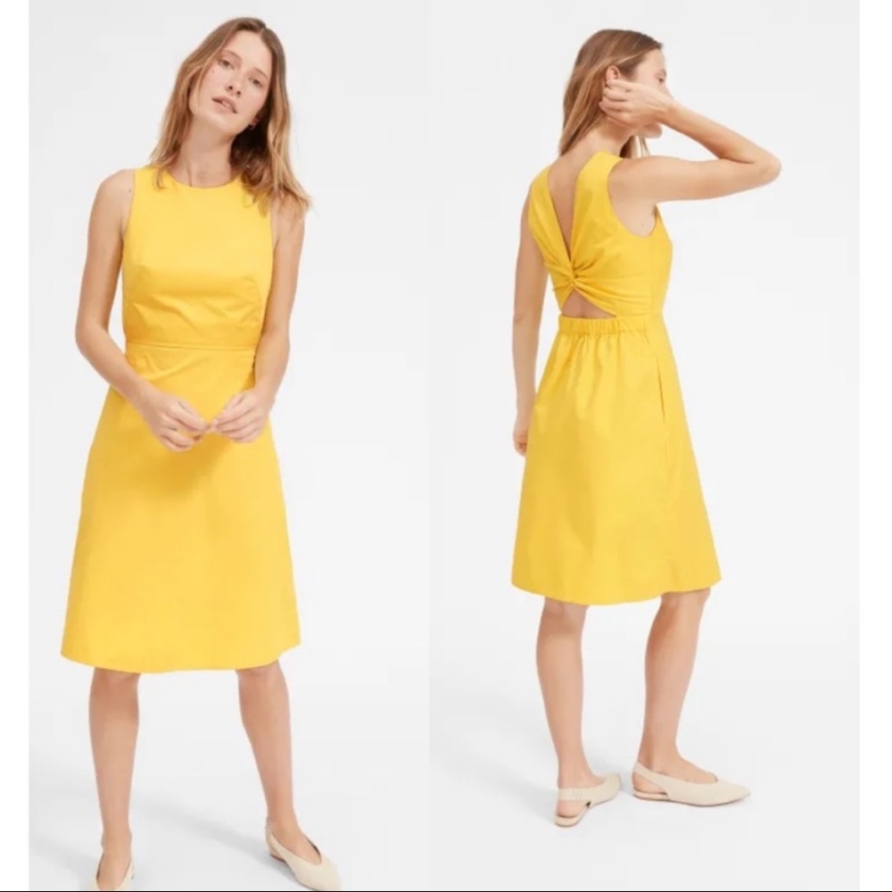 Everlane Cutout Knee Length Twist-Back Dress